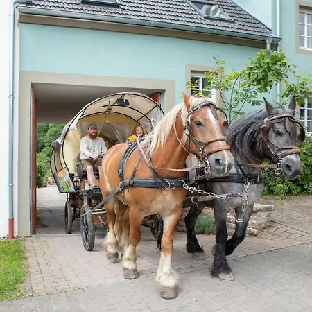Nengshof Ferienhaeuser Sonnenblume Und Heublume