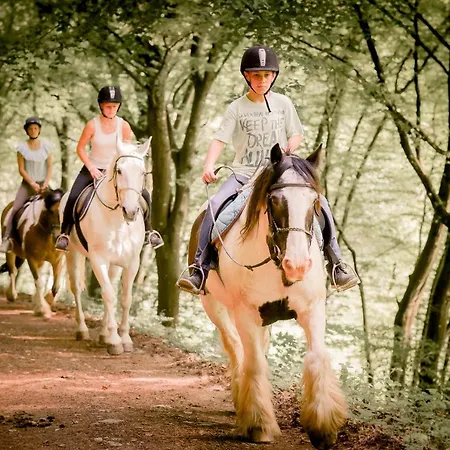 Nengshof Ferienhaeuser Sonnenblume Und Heublume Dom wakacyjny Wißmannsdorf