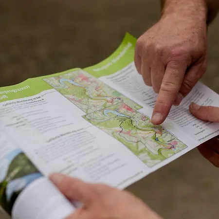Nengshof Ferienhaeuser Sonnenblume Und Heublume *