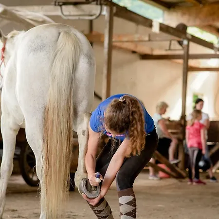 別荘 Nengshof Ferienhaeuser Sonnenblume Und Heublume Wißmannsdorf