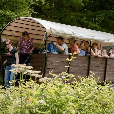 Nengshof Ferienhaeuser Sonnenblume Und Heublume Dom wakacyjny