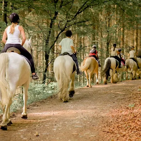 Nengshof Ferienhaeuser Sonnenblume Und Heublume * Wißmannsdorf