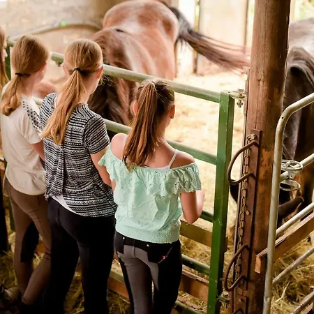 Nengshof Ferienhaeuser Sonnenblume Und Heublume 別荘