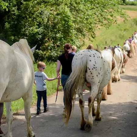 別荘 Nengshof Ferienhaeuser Sonnenblume Und Heublume