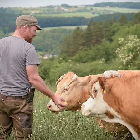 Nengshof Ferienhaeuser Sonnenblume Und Heublume Dom wakacyjny Wißmannsdorf