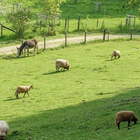 Nengshof Ferienhaeuser Sonnenblume Und Heublume Dom wakacyjny