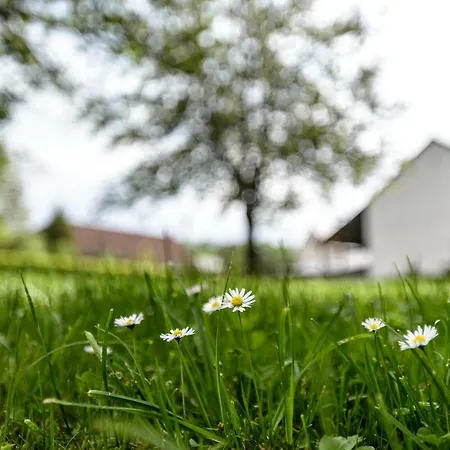 別荘 Nengshof Ferienhaeuser Sonnenblume Und Heublume
