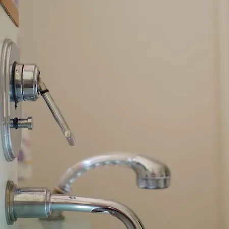 Nengshof Ferienhaeuser Sonnenblume Und Heublume Wißmannsdorf