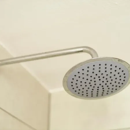 Nengshof Ferienhaeuser Sonnenblume Und Heublume Wißmannsdorf