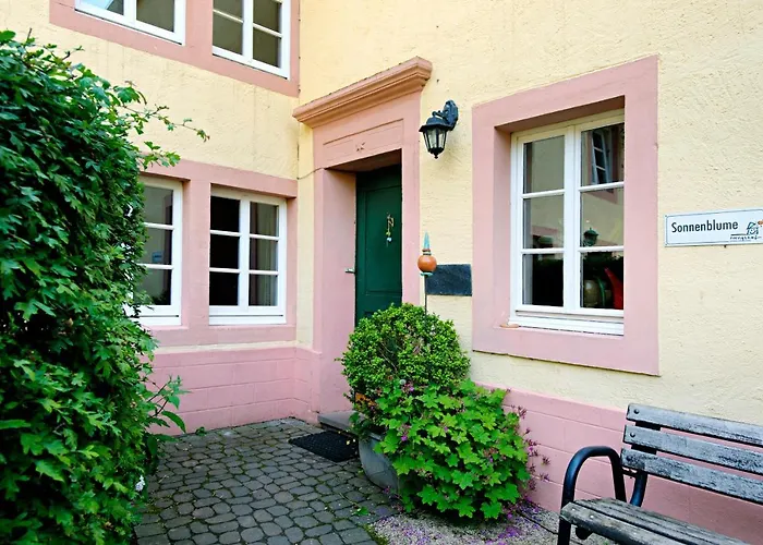 Nengshof Ferienhaeuser Sonnenblume Und Heublume בית נופש Wißmannsdorf