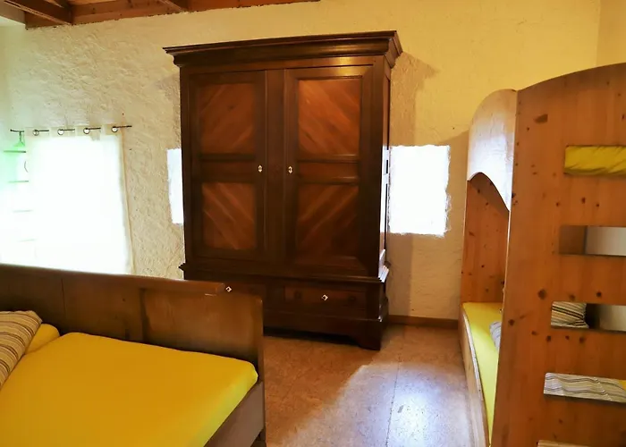 Nengshof Ferienhaeuser Sonnenblume Und Heublume