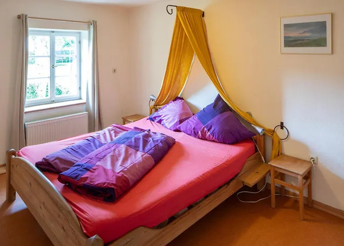 Nengshof Ferienhaeuser Sonnenblume Und Heublume