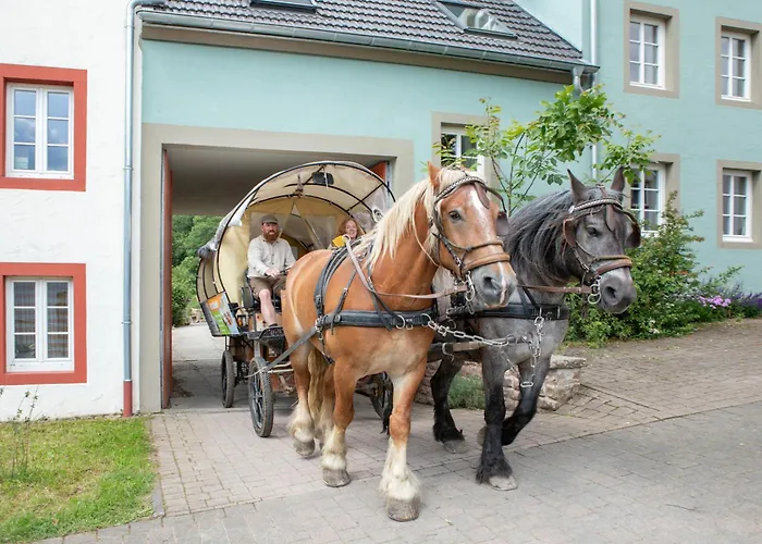 Nengshof Ferienhaeuser Sonnenblume Und Heublume