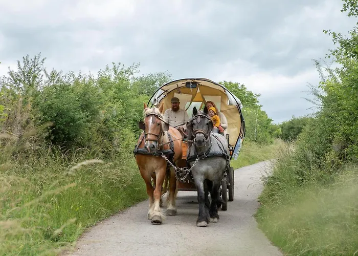 Nengshof Ferienhaeuser Sonnenblume Und Heublume *