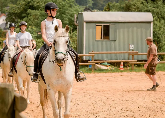 Nengshof Ferienhaeuser Sonnenblume Und Heublume *