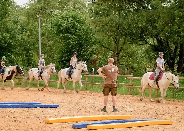 Nengshof Ferienhaeuser Sonnenblume Und Heublume Висмансдорф