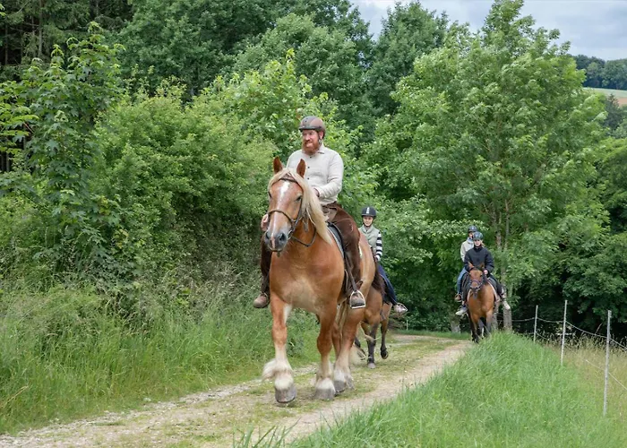 Nengshof Ferienhaeuser Sonnenblume Und Heublume Дом отдыха *