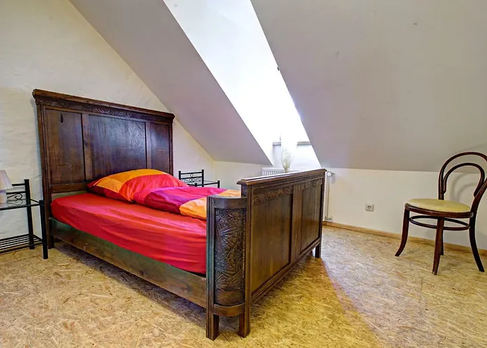 Nengshof Ferienhaeuser Sonnenblume Und Heublume *