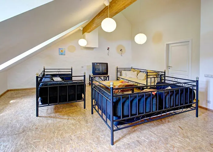 Nengshof Ferienhaeuser Sonnenblume Und Heublume * Wißmannsdorf