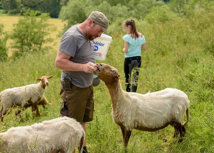 Nengshof Ferienhaeuser Sonnenblume Und Heublume בית נופש