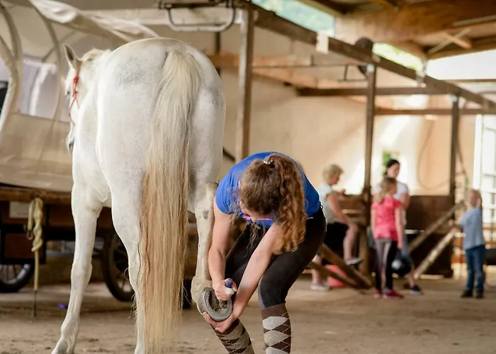 בית נופש Nengshof Ferienhaeuser Sonnenblume Und Heublume Wißmannsdorf