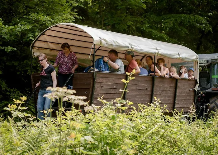 Nengshof Ferienhaeuser Sonnenblume Und Heublume בית נופש