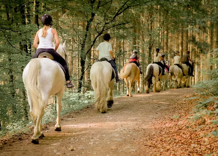 Nengshof Ferienhaeuser Sonnenblume Und Heublume * Wißmannsdorf