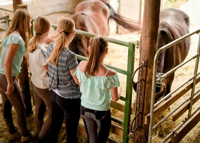 Nengshof Ferienhaeuser Sonnenblume Und Heublume בית נופש