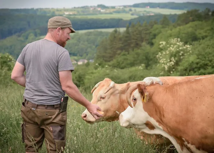 Nengshof Ferienhaeuser Sonnenblume Und Heublume בית נופש Wißmannsdorf