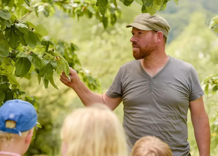 Nengshof Ferienhaeuser Sonnenblume Und Heublume * Wißmannsdorf