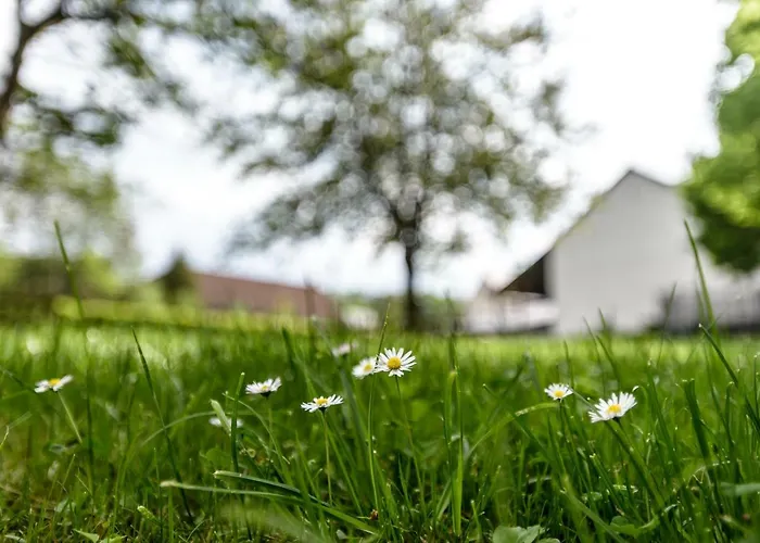 בית נופש Nengshof Ferienhaeuser Sonnenblume Und Heublume