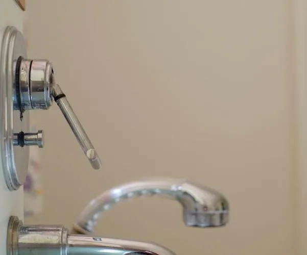 Nengshof Ferienhaeuser Sonnenblume Und Heublume Wißmannsdorf