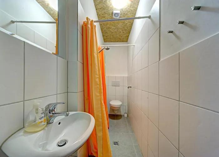 Nengshof Ferienhaeuser Sonnenblume Und Heublume